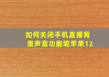 如何关闭手机直播背景声音功能呢苹果12