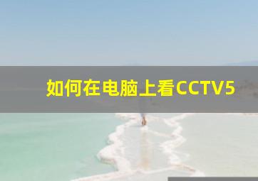 如何在电脑上看CCTV5