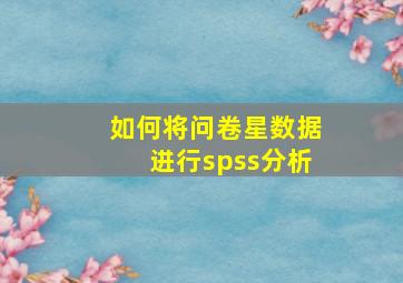 如何将问卷星数据进行spss分析