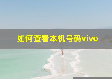 如何查看本机号码vivo