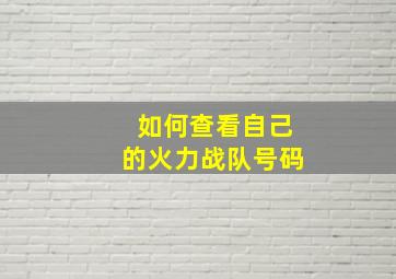 如何查看自己的火力战队号码