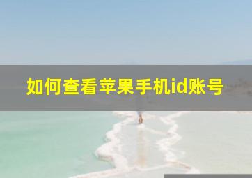 如何查看苹果手机id账号