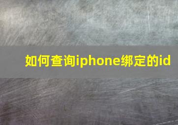 如何查询iphone绑定的id