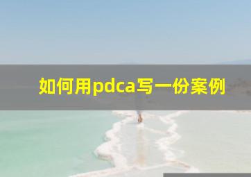 如何用pdca写一份案例