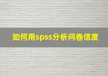 如何用spss分析问卷信度