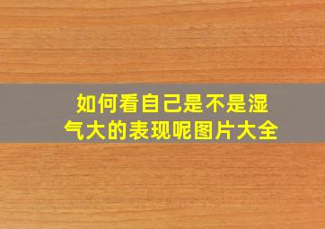 如何看自己是不是湿气大的表现呢图片大全