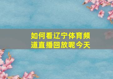 如何看辽宁体育频道直播回放呢今天