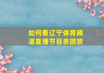 如何看辽宁体育频道直播节目表回放