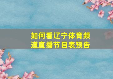 如何看辽宁体育频道直播节目表预告