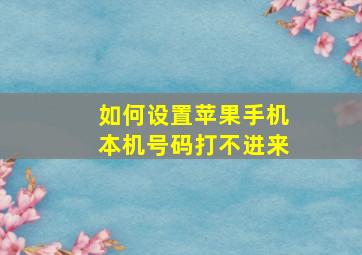 如何设置苹果手机本机号码打不进来