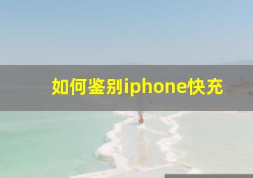 如何鉴别iphone快充