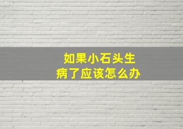 如果小石头生病了应该怎么办