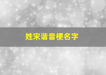 姓宋谐音梗名字