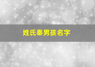 姓氏秦男孩名字