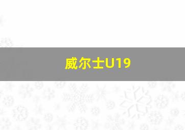 威尔士U19