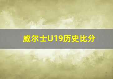 威尔士U19历史比分