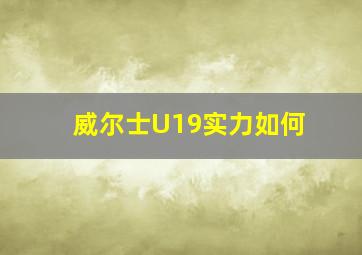 威尔士U19实力如何