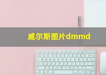 威尔斯图片dmmd