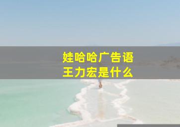 娃哈哈广告语王力宏是什么