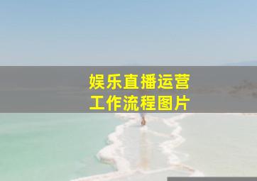 娱乐直播运营工作流程图片