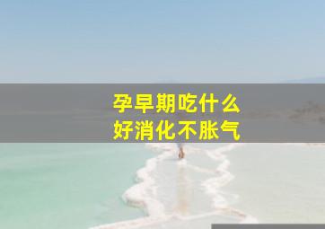 孕早期吃什么好消化不胀气