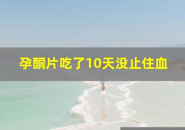 孕酮片吃了10天没止住血