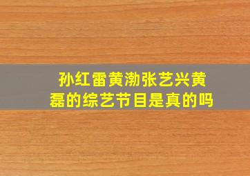 孙红雷黄渤张艺兴黄磊的综艺节目是真的吗