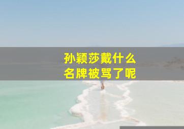 孙颖莎戴什么名牌被骂了呢