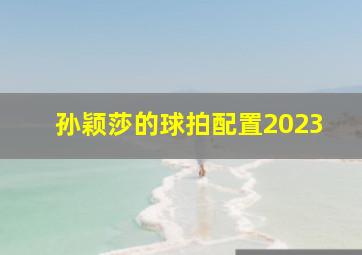 孙颖莎的球拍配置2023