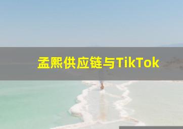 孟熙供应链与TikTok