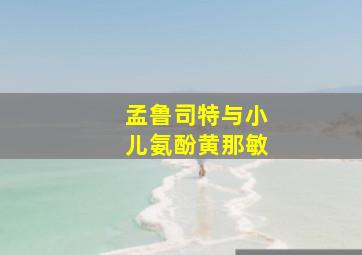 孟鲁司特与小儿氨酚黄那敏