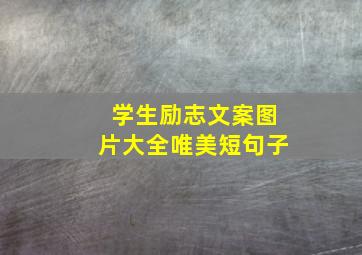 学生励志文案图片大全唯美短句子