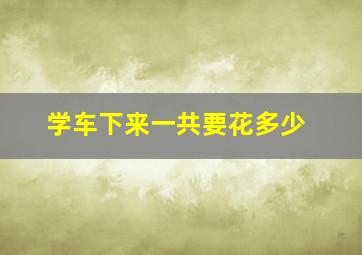 学车下来一共要花多少