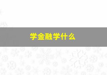 学金融学什么