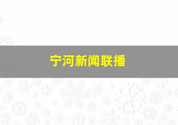 宁河新闻联播