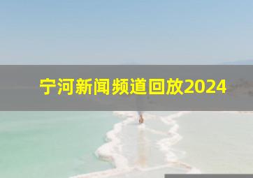 宁河新闻频道回放2024