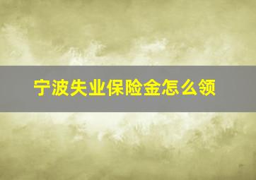 宁波失业保险金怎么领