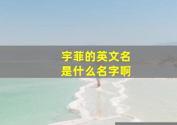 宇菲的英文名是什么名字啊