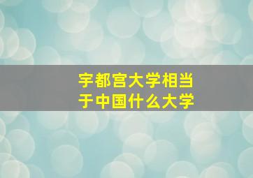 宇都宫大学相当于中国什么大学