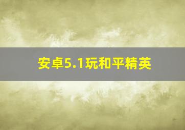 安卓5.1玩和平精英