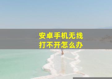 安卓手机无线打不开怎么办