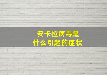 安卡拉病毒是什么引起的症状