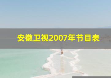 安徽卫视2007年节目表