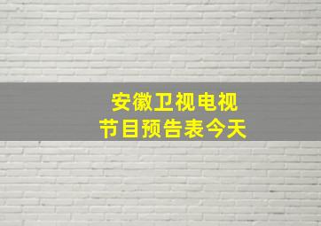 安徽卫视电视节目预告表今天