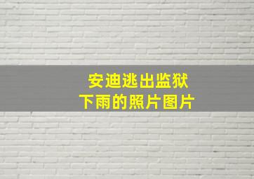 安迪逃出监狱下雨的照片图片