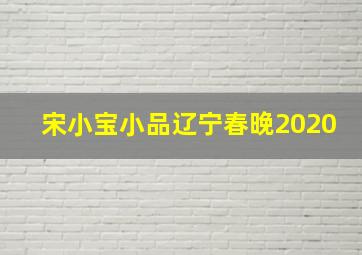 宋小宝小品辽宁春晚2020