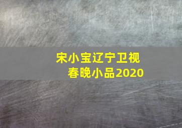 宋小宝辽宁卫视春晚小品2020