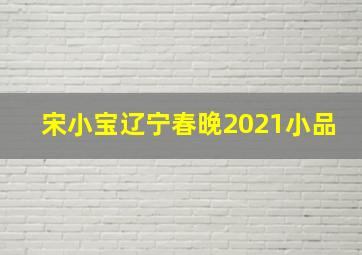 宋小宝辽宁春晚2021小品