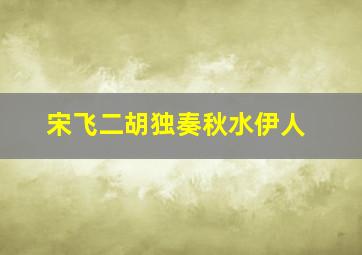 宋飞二胡独奏秋水伊人