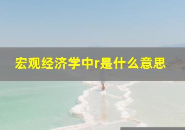 宏观经济学中r是什么意思